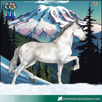 Horse Color:Silver Buckskin Roan Dun Mushroom Sabino Splash Rabicano and White Spotted Silver Smoky Grullo Roan Mushroom Splash Frame Rabicano