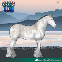 Horse Color:Silver Buckskin Roan Dun Mushroom Sabino Splash Rabicano  and White Spotted Silver Smoky Grullo Roan Mushroom Splash Frame Rabicano 