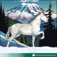 Horse Color:Silver Buckskin Roan Dun Mushroom Sabino Splash Rabicano  and White Spotted Silver Smoky Grullo Roan Mushroom Splash Frame Rabicano 