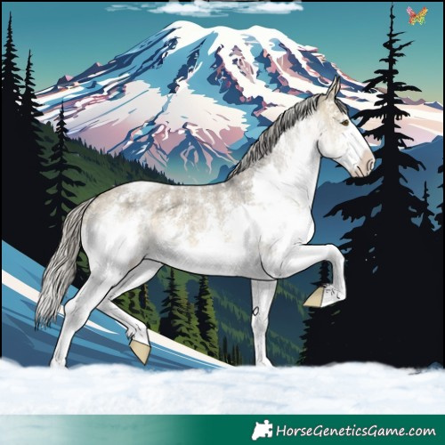 Horse Color:Silver Buckskin Roan Dun Mushroom Sabino Splash