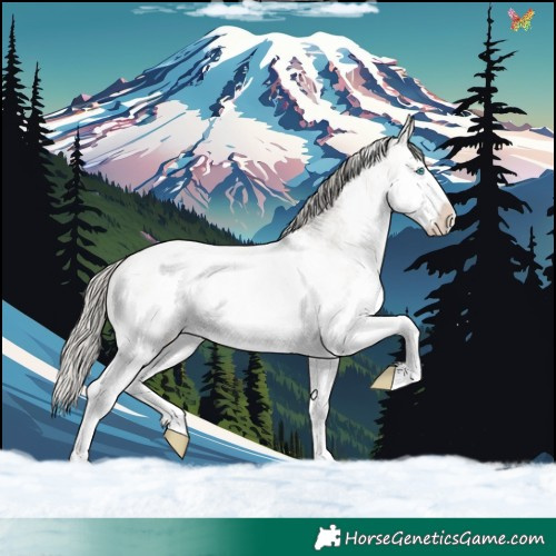 Horse Color:Silver Smoky Grullo Roan Mushroom Sabino Splash Rabicano 