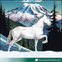 Horse Color:White Spotted Silver Smoky Grullo Roan Mushroom Splash 