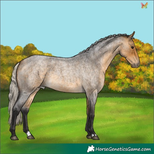 Horse Color:Silver Buckskin Roan 
