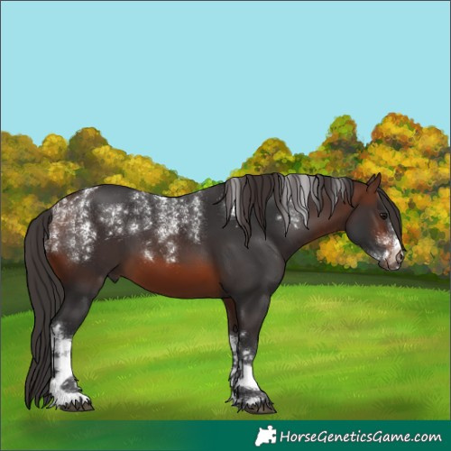 Horse Color:Powder White White Spotted Brown 