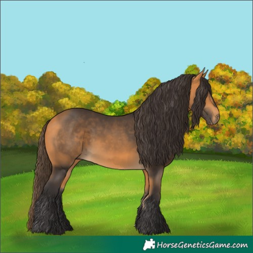 Horse Color:Buckskin 