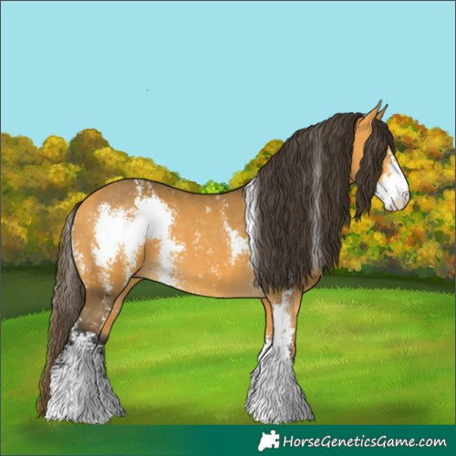 Horse Color:Buckskin Sabino