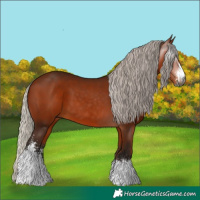 Horse Color:Gray Silver Bay Sabino 