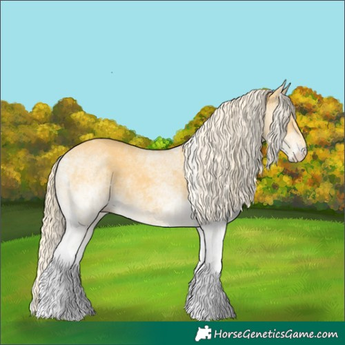 Horse Color:White Spotted Palomino Dun