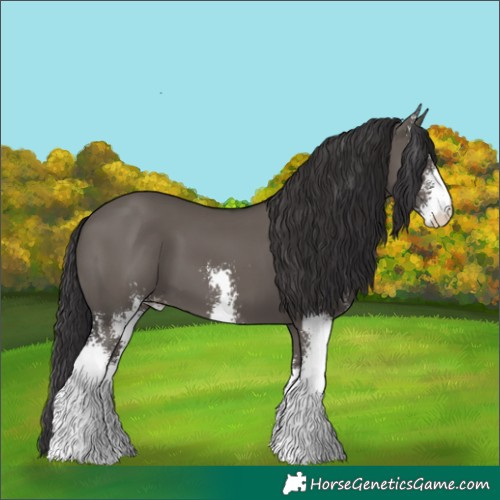 Horse Color:Smoky Grullo Sabino