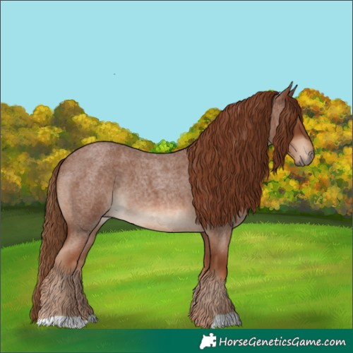 Horse Color:Red Roan 