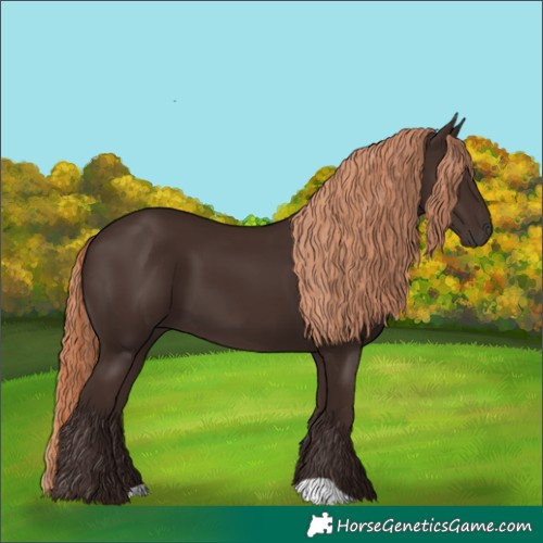 Horse Color:Liver Chestnut 