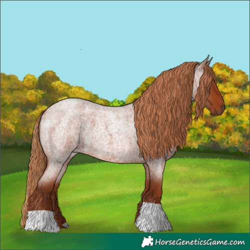 Horse Color:Red Roan 