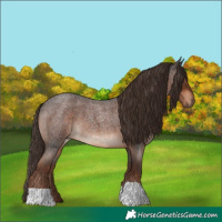 Horse Color:Liver Red Roan 