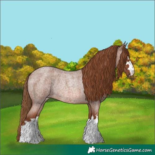 Horse Color:Red Roan Rabicano