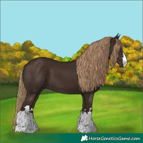 Horse Color:Liver Chestnut 