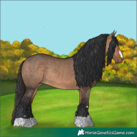 Horse Color:Brown Dun Rabicano