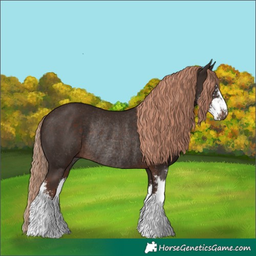 Horse Color:Liver Chestnut Sabino Rabicano 