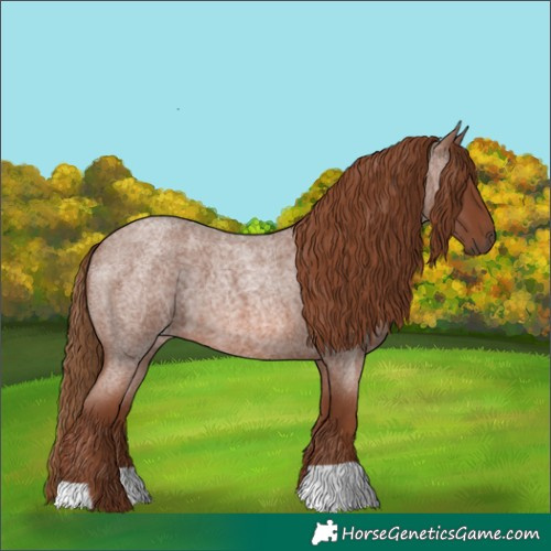 Horse Color:Red Roan 