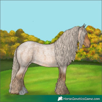 Horse Color:Chocolate Palomino Roan