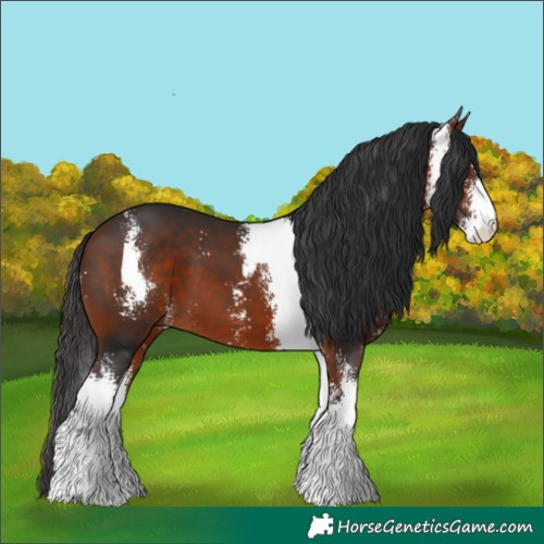 Horse Color:Brown Sabino 