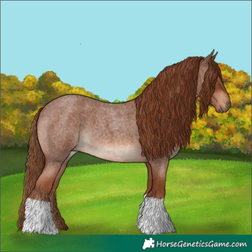 Horse Color:Red Roan