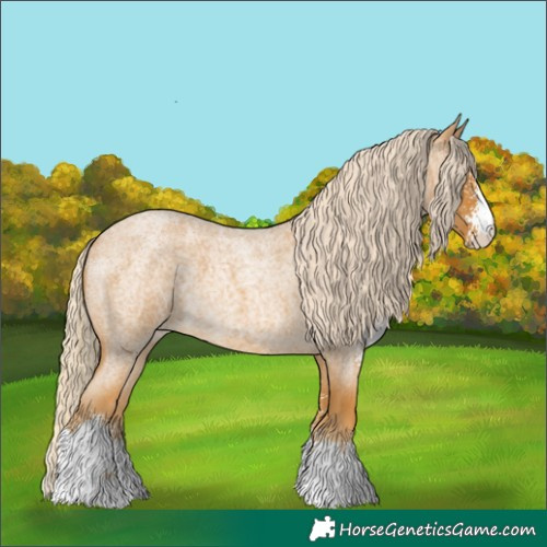 Horse Color:Palomino Roan Sabino