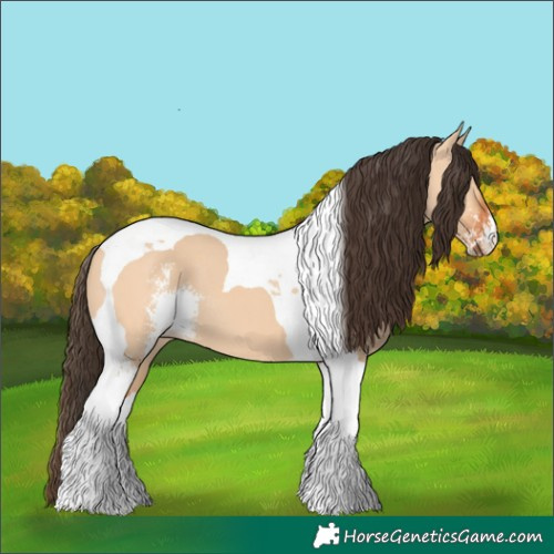 Horse Color:Bay Dun Sabino Tobiano 