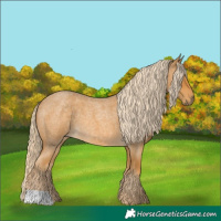 Horse Color:Palomino Roan