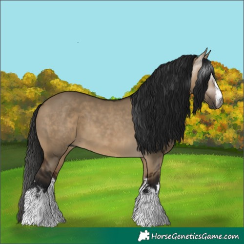 Horse Color:Gray White Spotted Bay Dun 