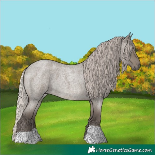 Horse Color:Silver Grullo Roan 
