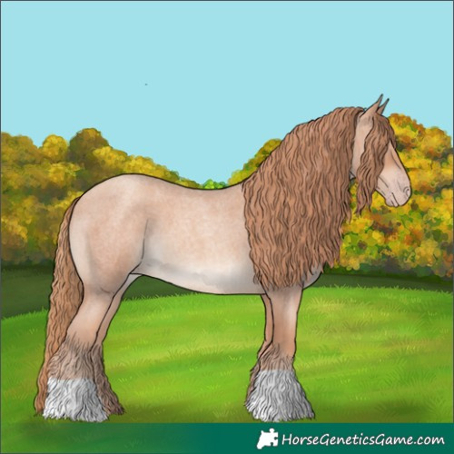 Horse Color:Gold Champagne Roan 