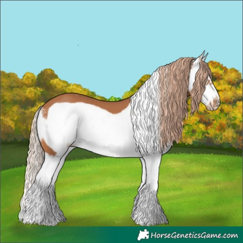 Horse Color:Chestnut Sabino Splash Frame