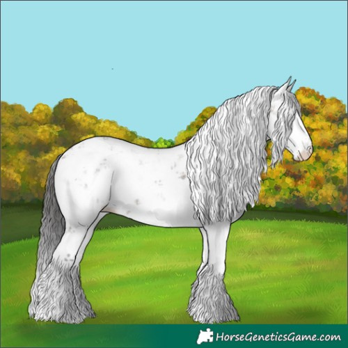Horse Color:Smoky Grullo Sabino