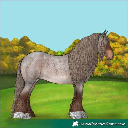 Horse Color:Liver Red Roan
