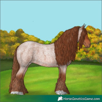 Horse Color:Red Roan 