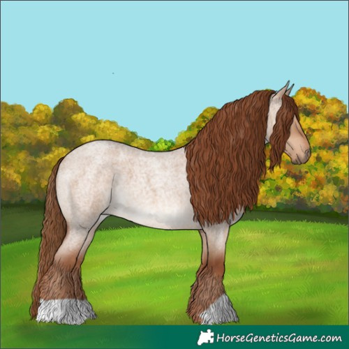 Horse Color:Red Dun Roan 
