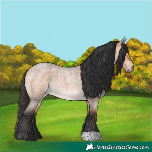Horse Color:Bay Roan Dun 