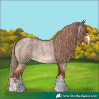 Horse Color:Red Roan 