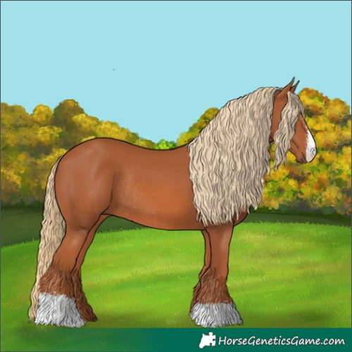 Horse Color:Chestnut Sabino Rabicano 