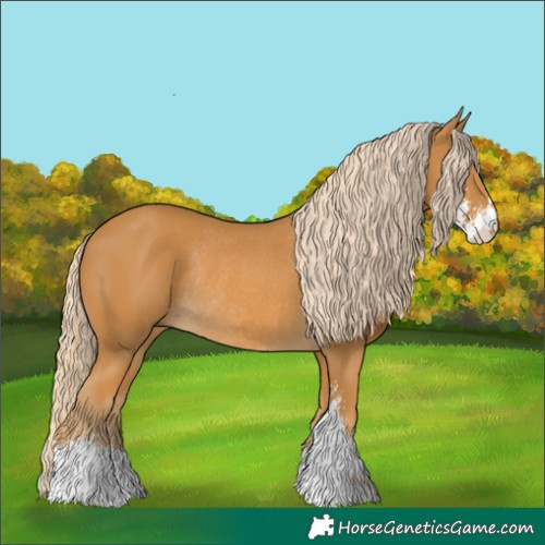 Horse Color:Palomino Sabino Rabicano