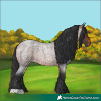 Horse Color:Brown Roan