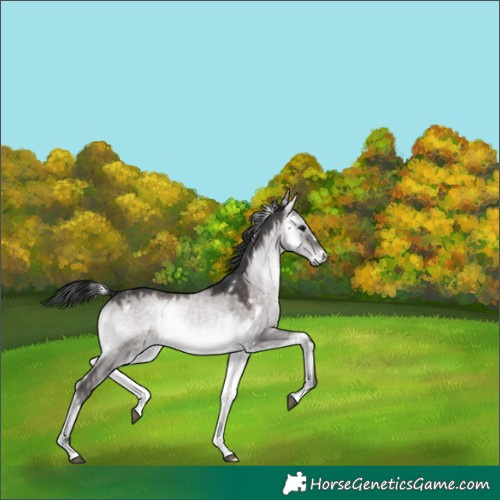 Horse Color:Platinum White Spotted Brown Onyx