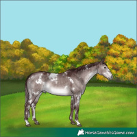 Horse Color:Platinum White Spotted Chocolate Brown Dun 