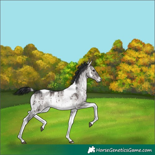 Horse Color:Platinum White Spotted Brown Onyx Tobiano Brindle 
