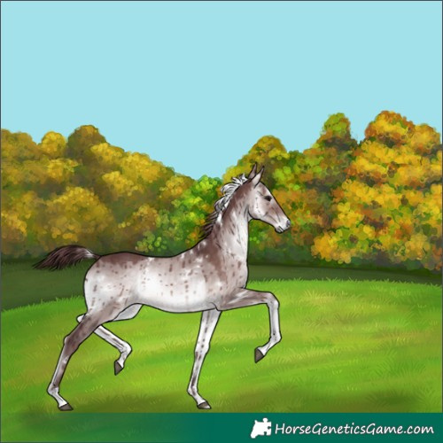 Horse Color:Platinum White Spotted Chocolate Brown Onyx Tobiano Brindle 