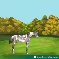 Horse Color:Platinum White Spotted Chocolate Brown Dun
