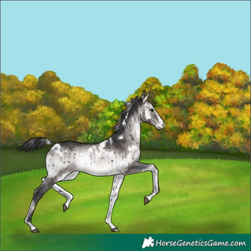 Horse Color:Platinum White Spotted Brown Onyx Brindle 