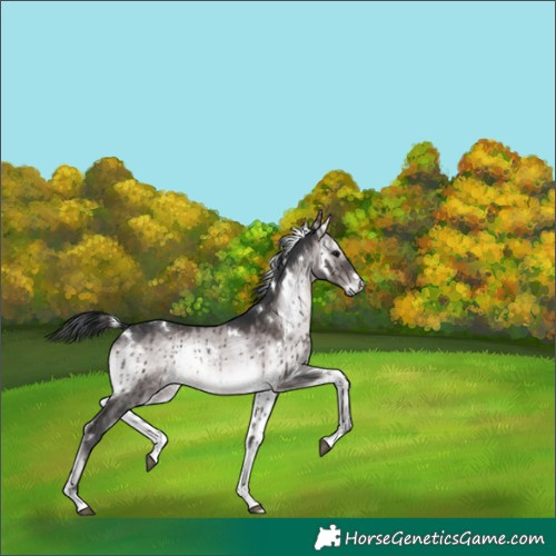Horse Color:Platinum White Spotted Brown Onyx Brindle 