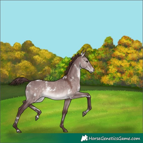 Horse Color:Platinum White Spotted Chocolate Brown Dun 