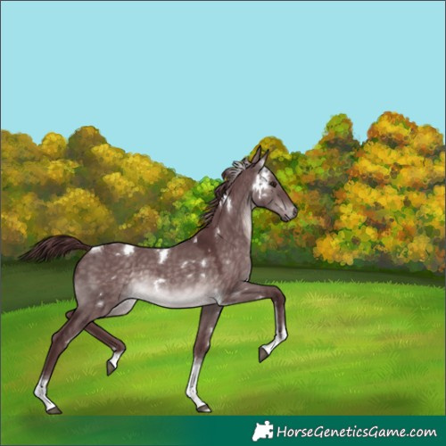 Horse Color:Platinum White Spotted Chocolate Brown Dun Tobiano 